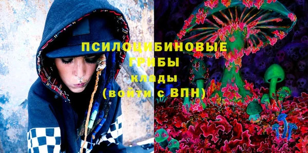 apvp Нея