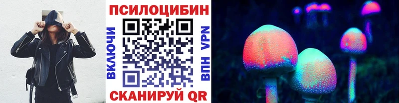 Псилоцибиновые грибы Cubensis  ОМГ ОМГ ТОР  Сертолово 