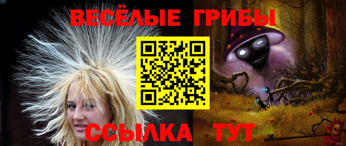Галлюциногенные грибы MAGIC MUSHROOMS  Вход с VPN  Сертолово  Псилоцибиновые грибы Psilocybine cubensis 